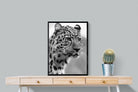 Pixalot Leopard Focus