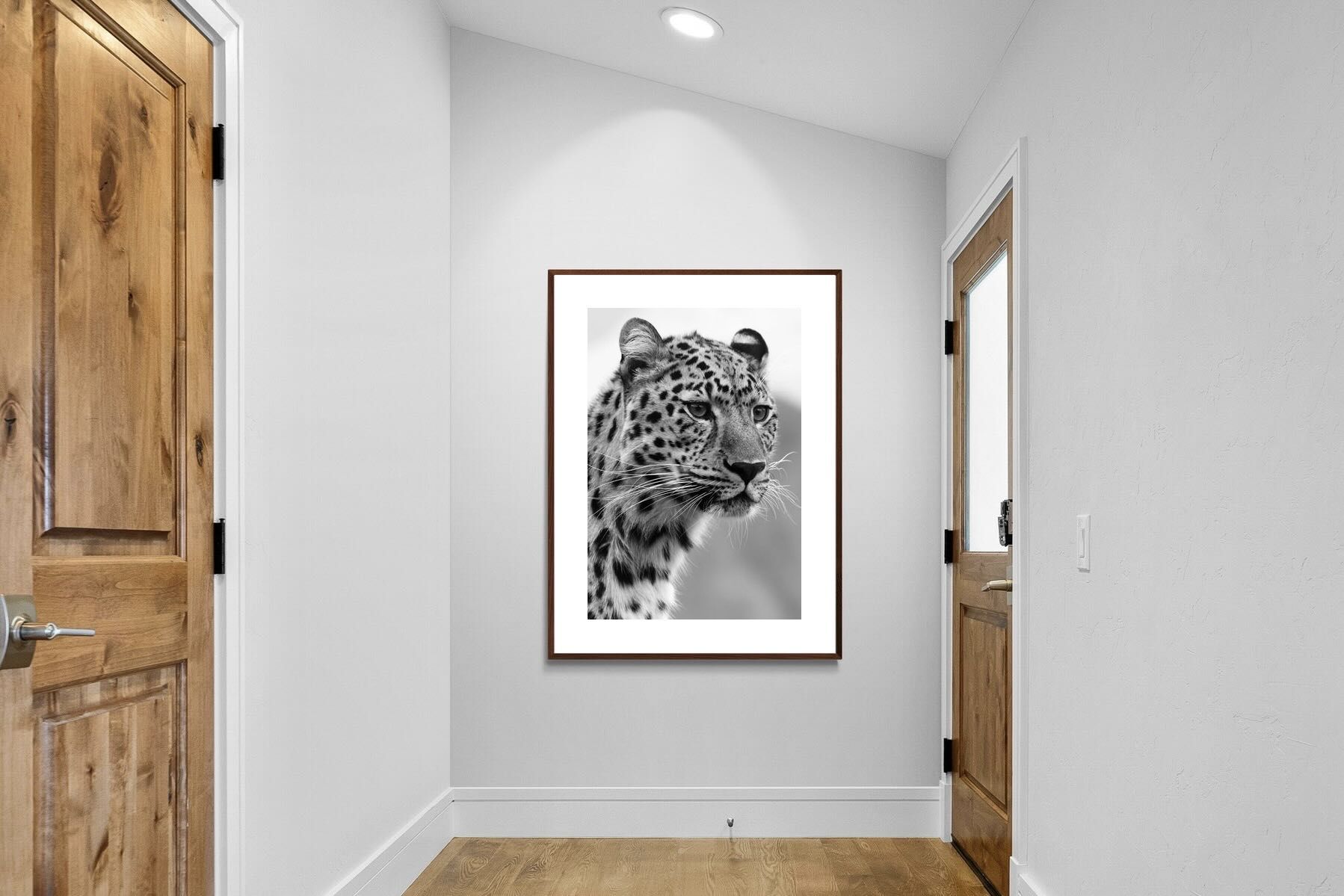 Pixalot Leopard Focus