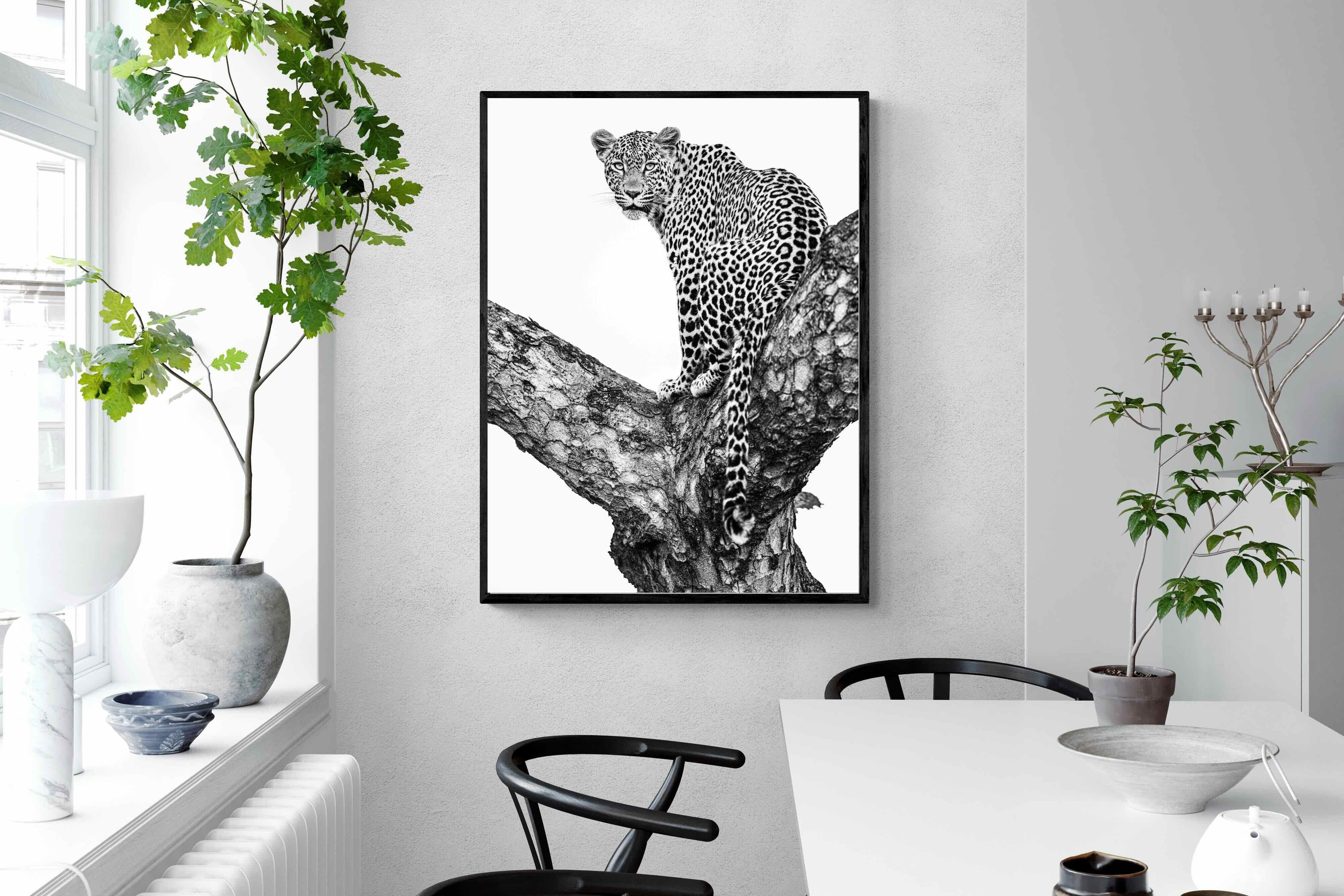 Pixalot ® Leopard in the Tree