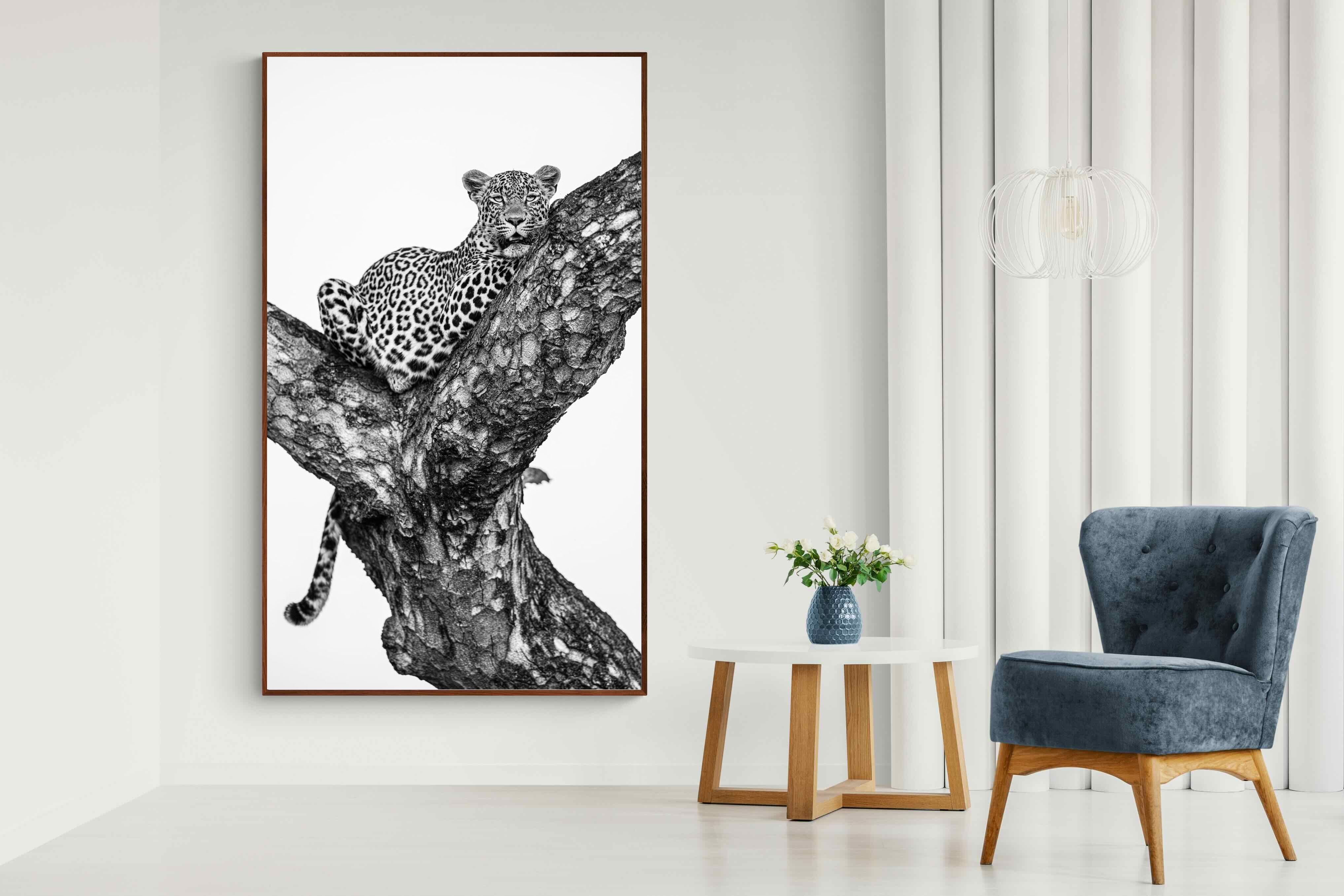 Pixalot ® Leopard Lookout