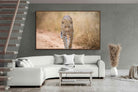 Pixalot ® Leopard