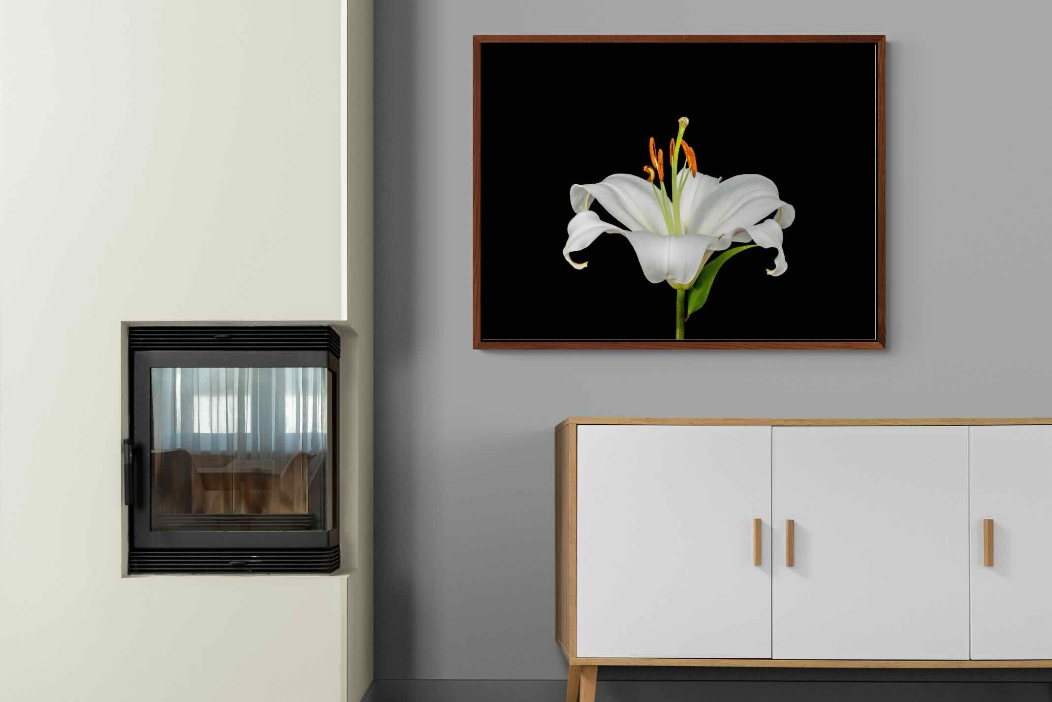 Pixalot ® Lilium on Black