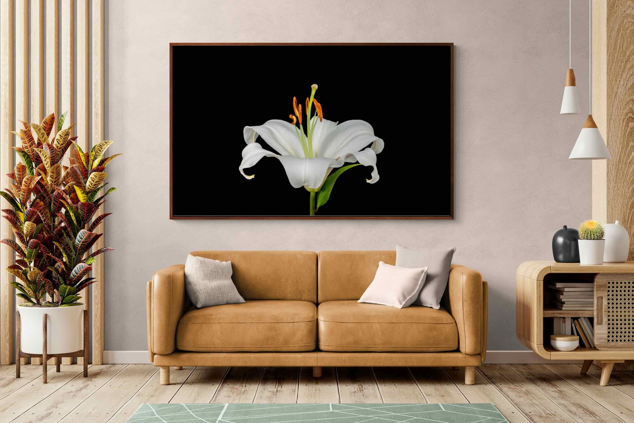 Pixalot ® Lilium on Black