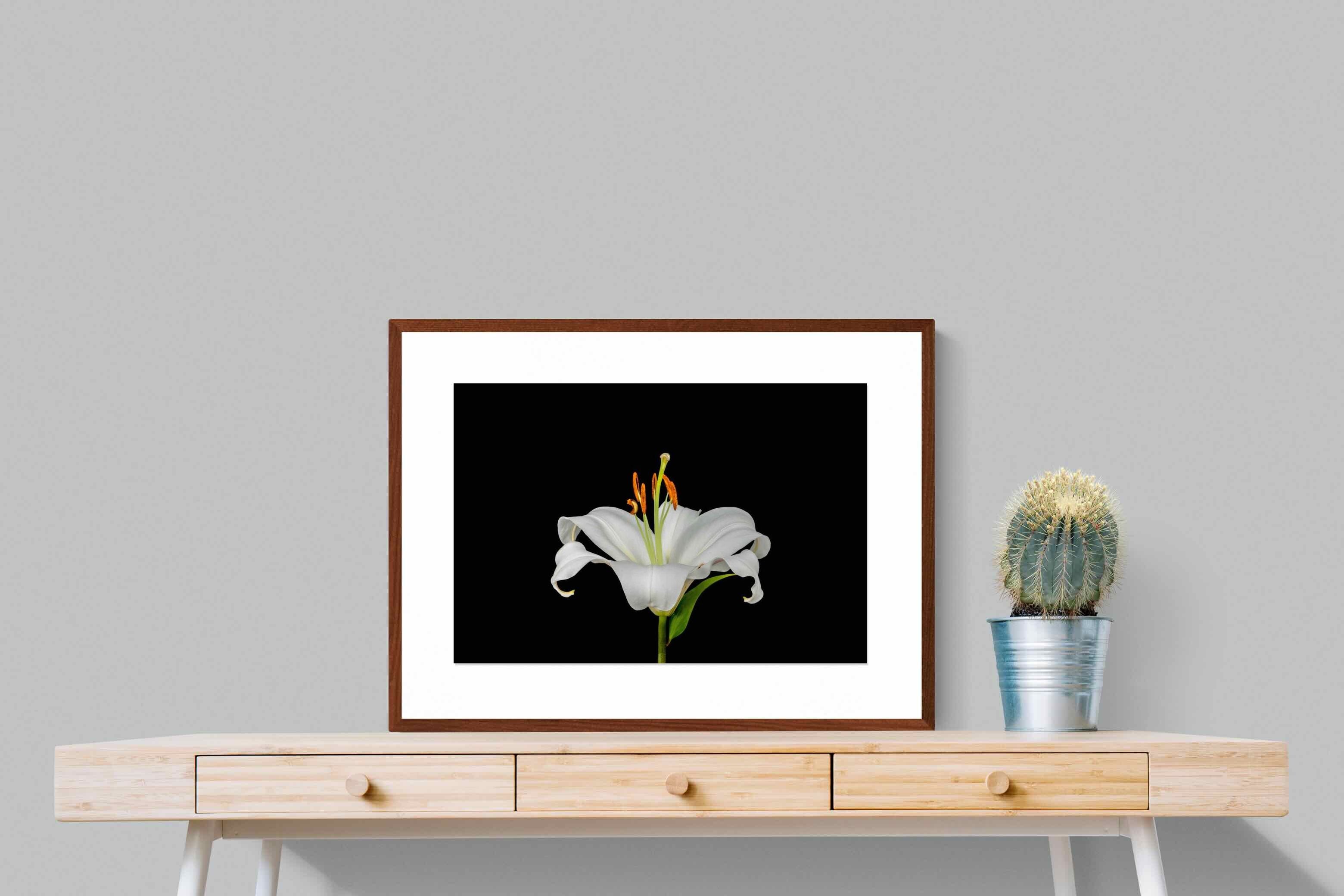 Pixalot ® Lilium on Black