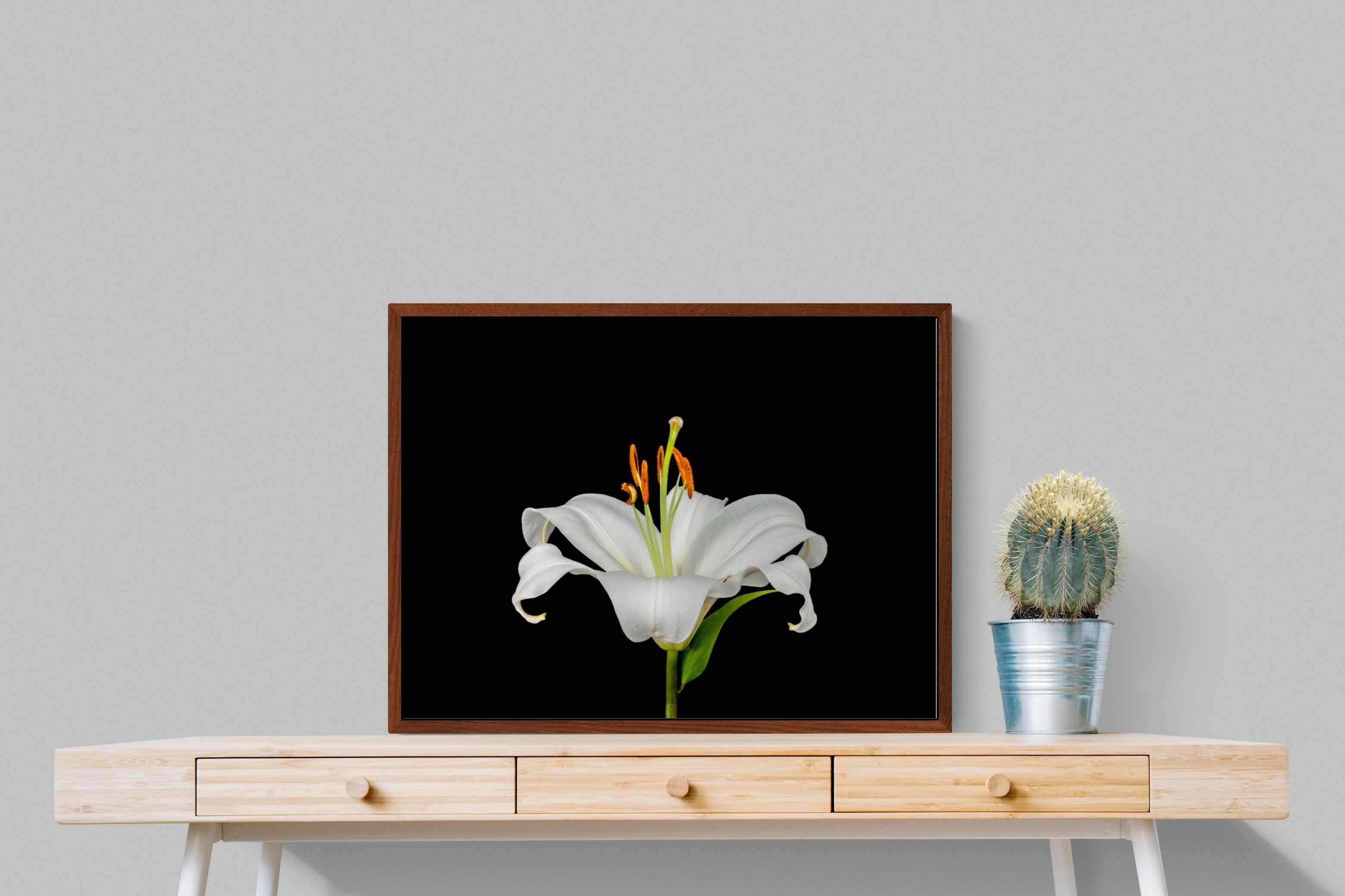 Pixalot ® Lilium on Black