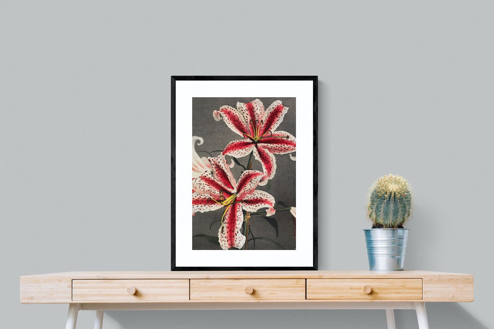 Pixalot Lily #3