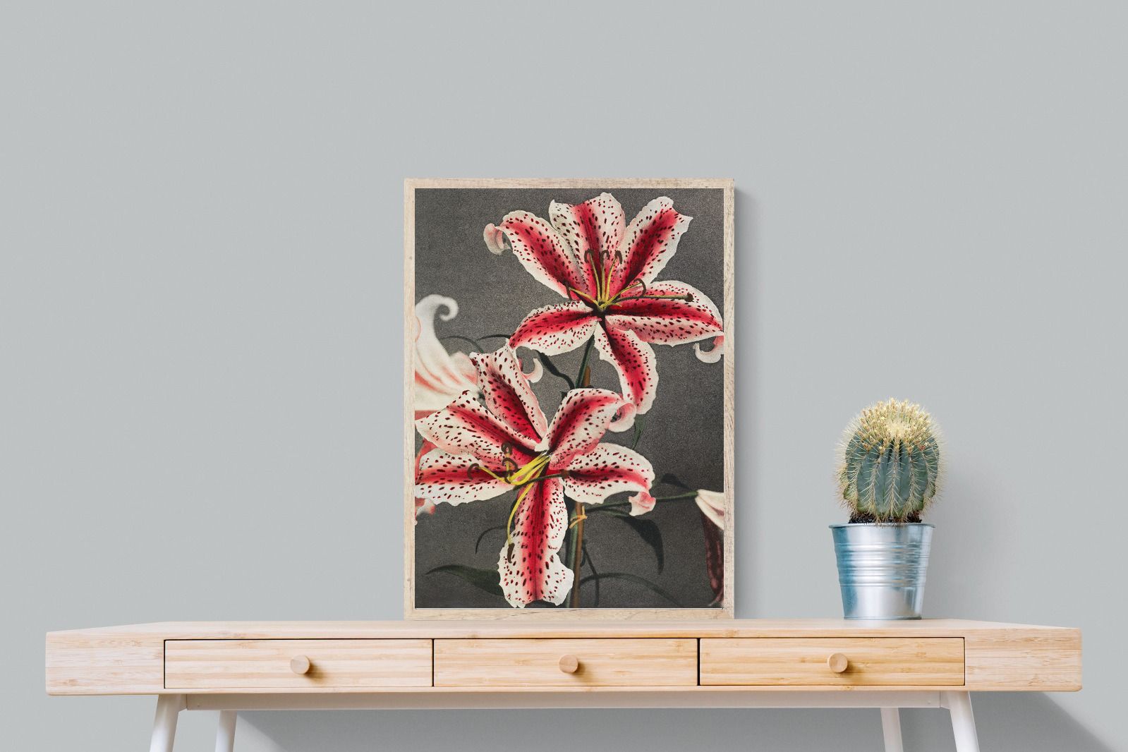 Pixalot Lily #3