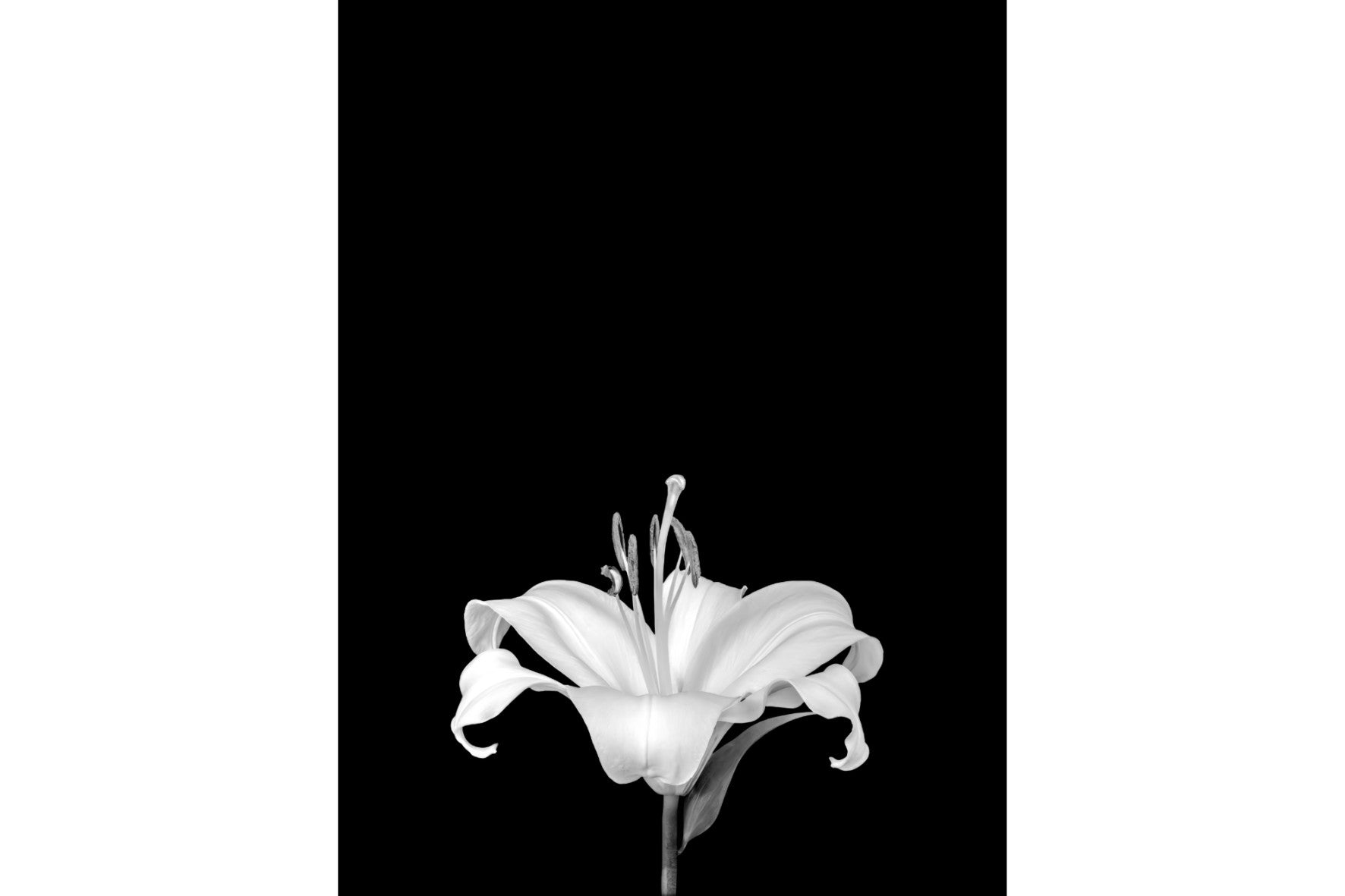 Dragable Image