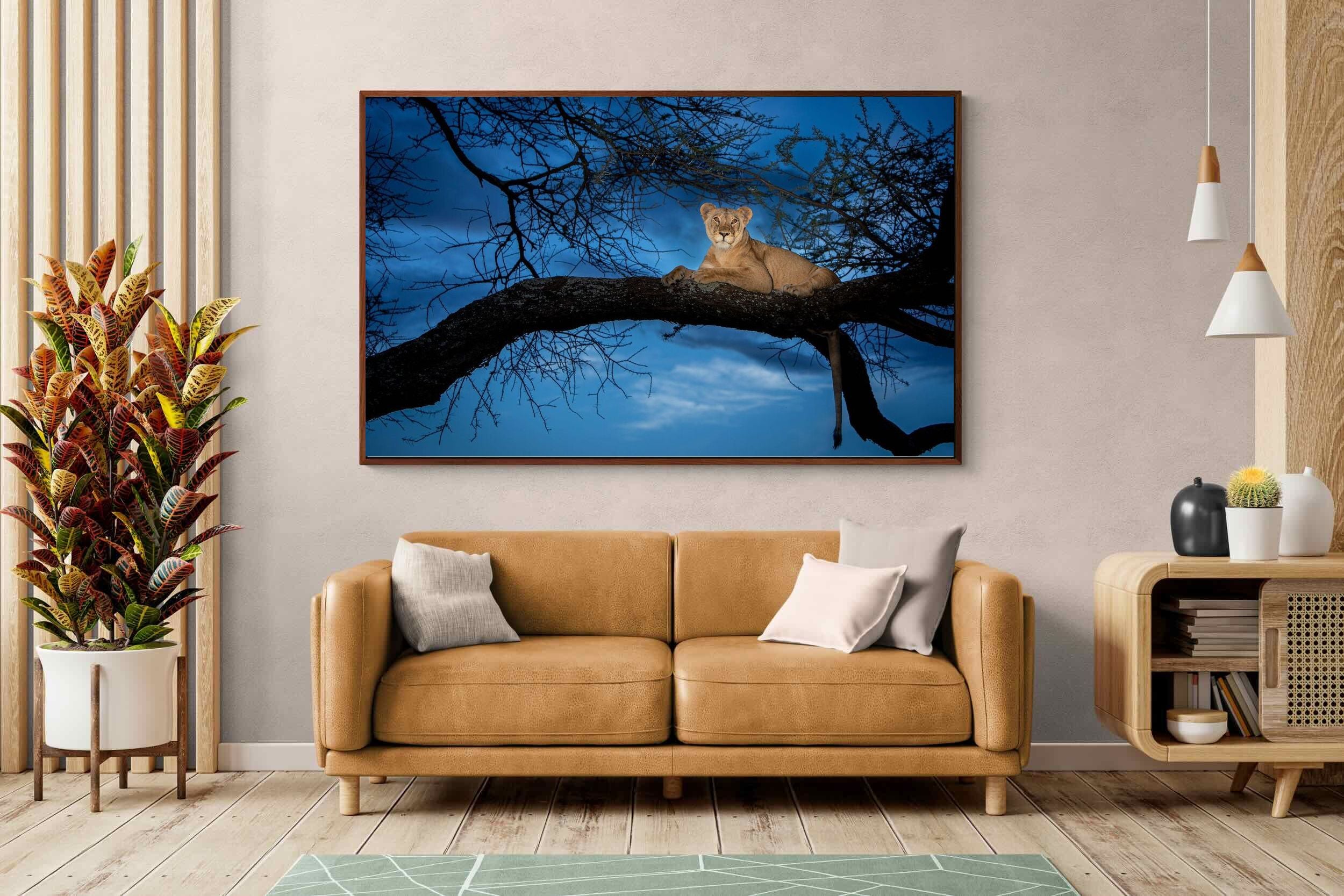 Pixalot ® Lion at Dusk