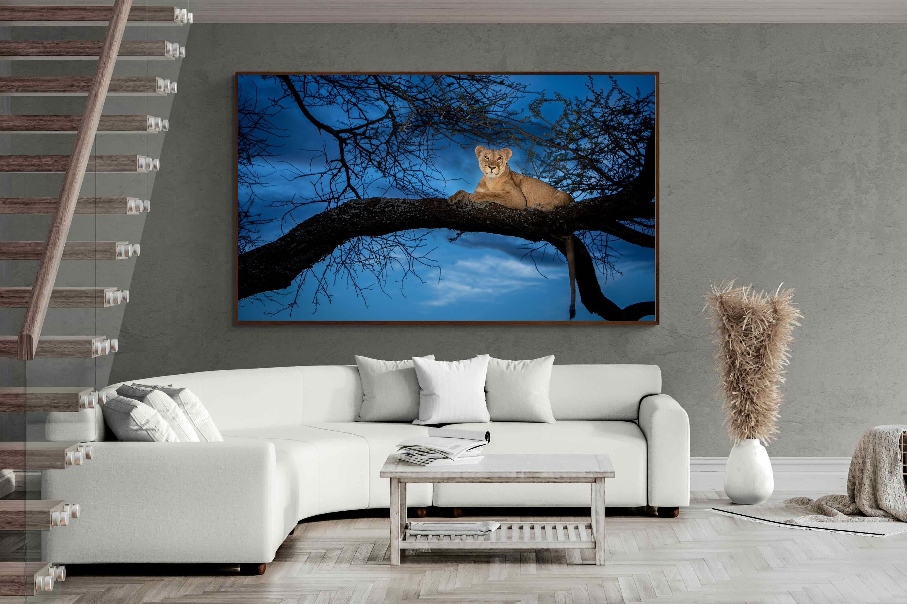 Pixalot ® Lion at Dusk