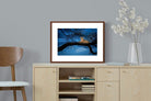 Pixalot ® Lion at Dusk
