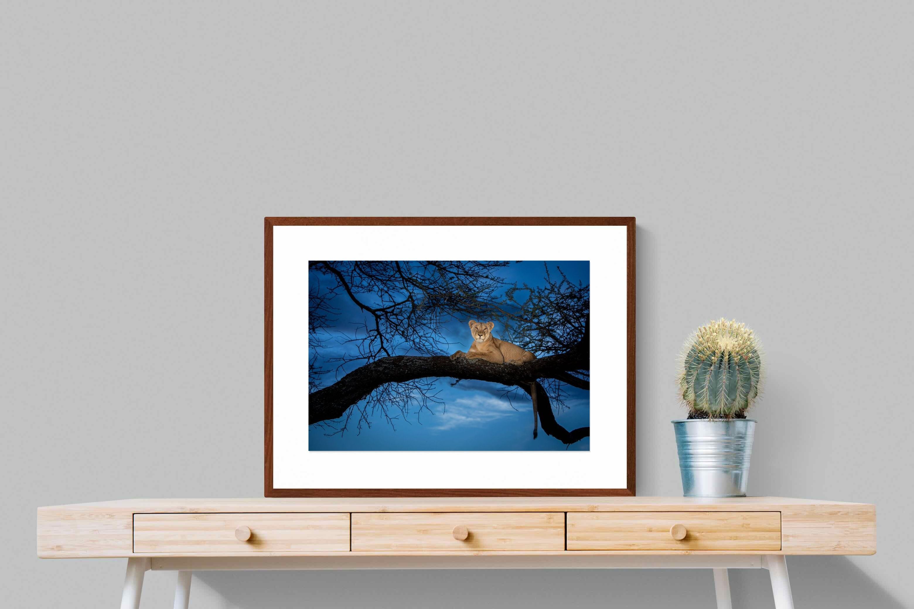Pixalot ® Lion at Dusk