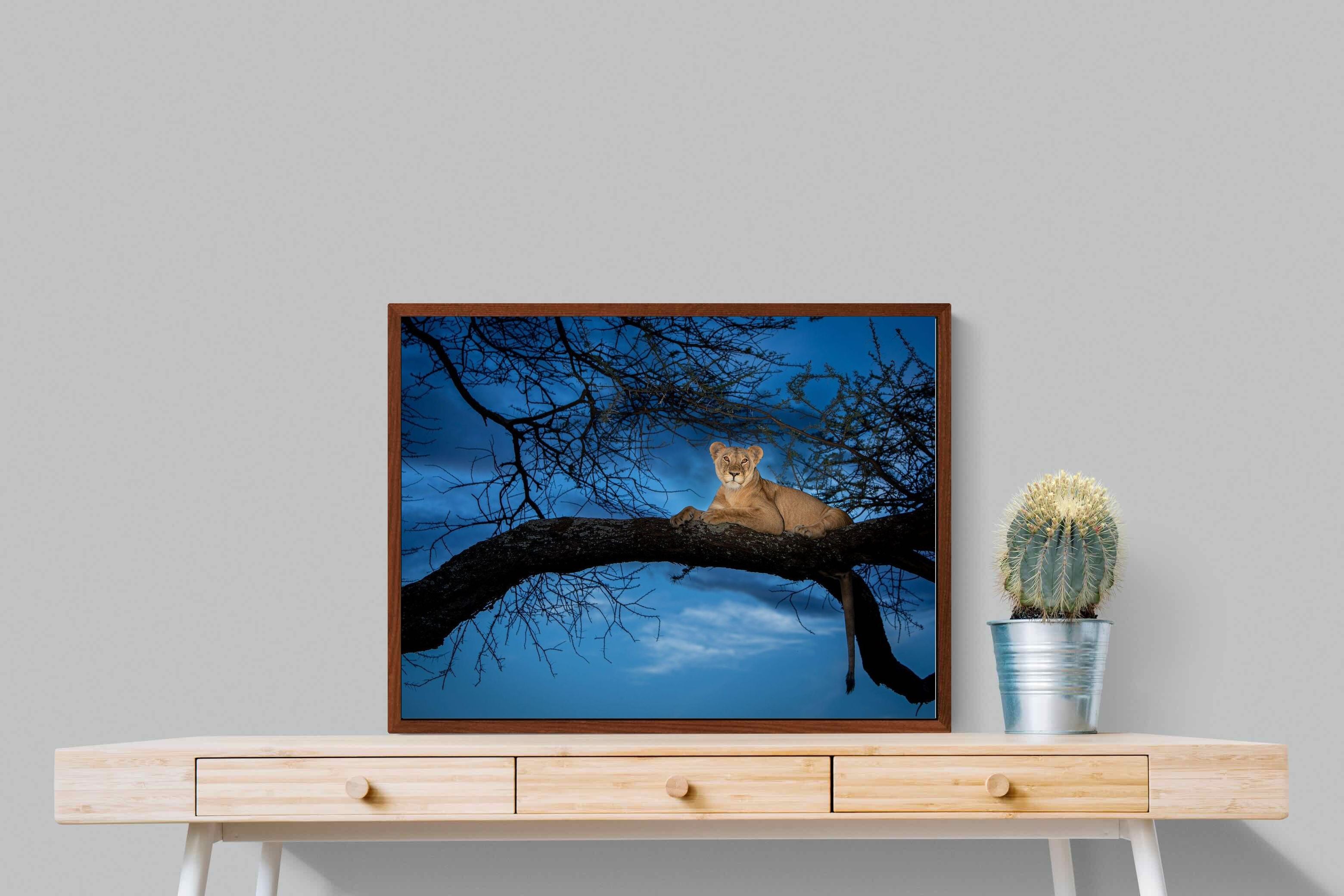 Pixalot ® Lion at Dusk
