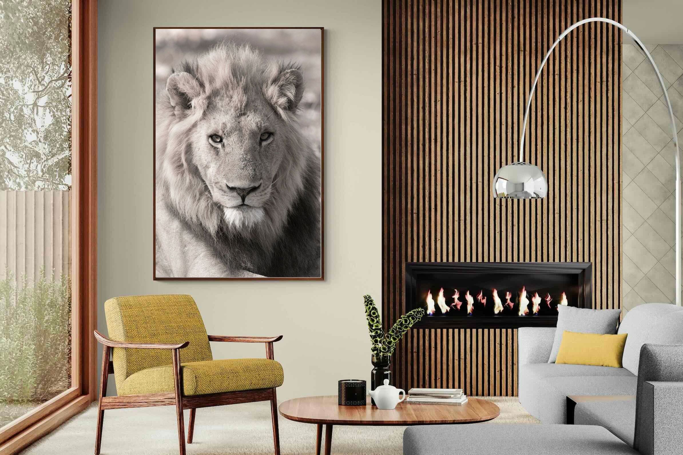 Pixalot Lion Eyes