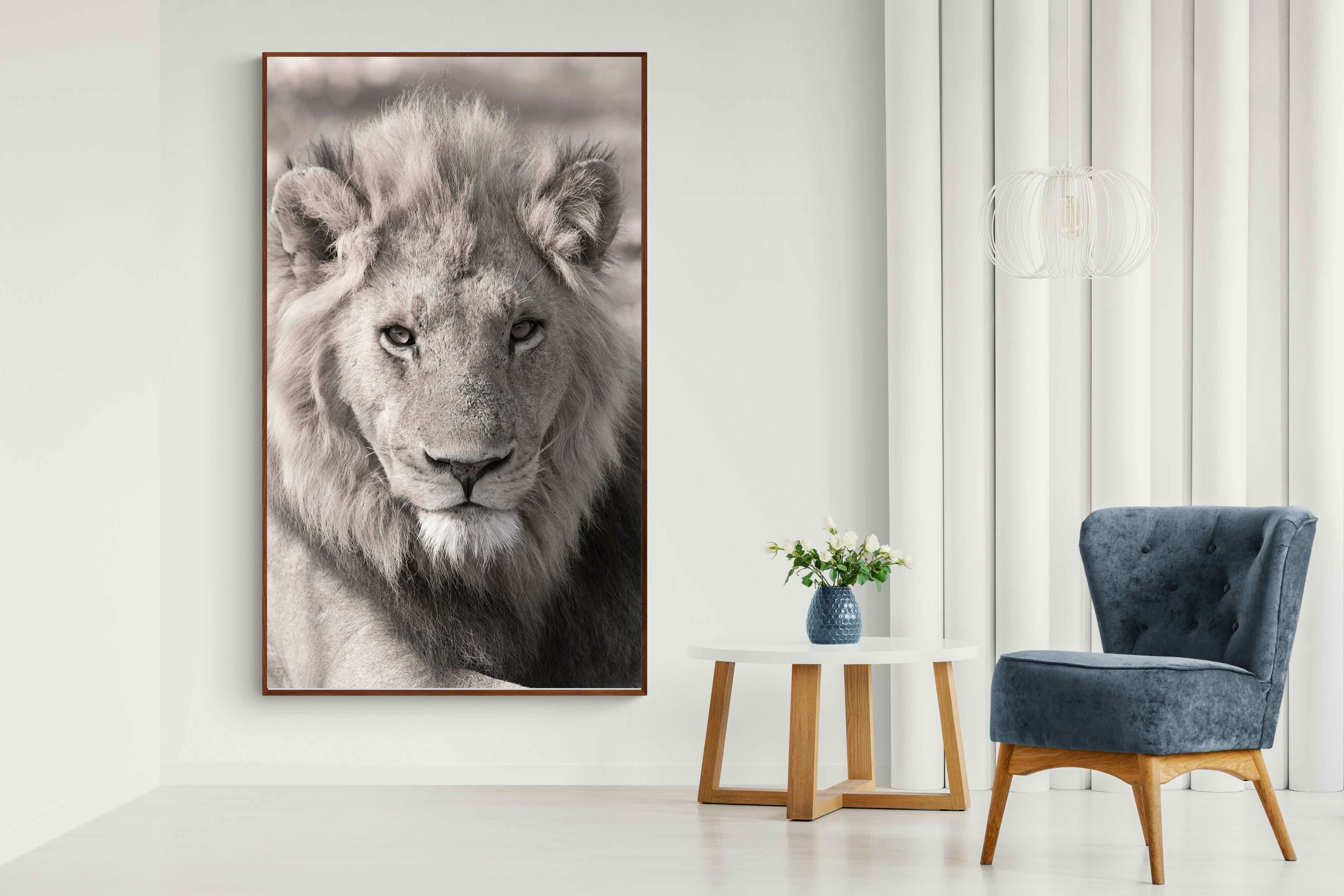 Pixalot Lion Eyes