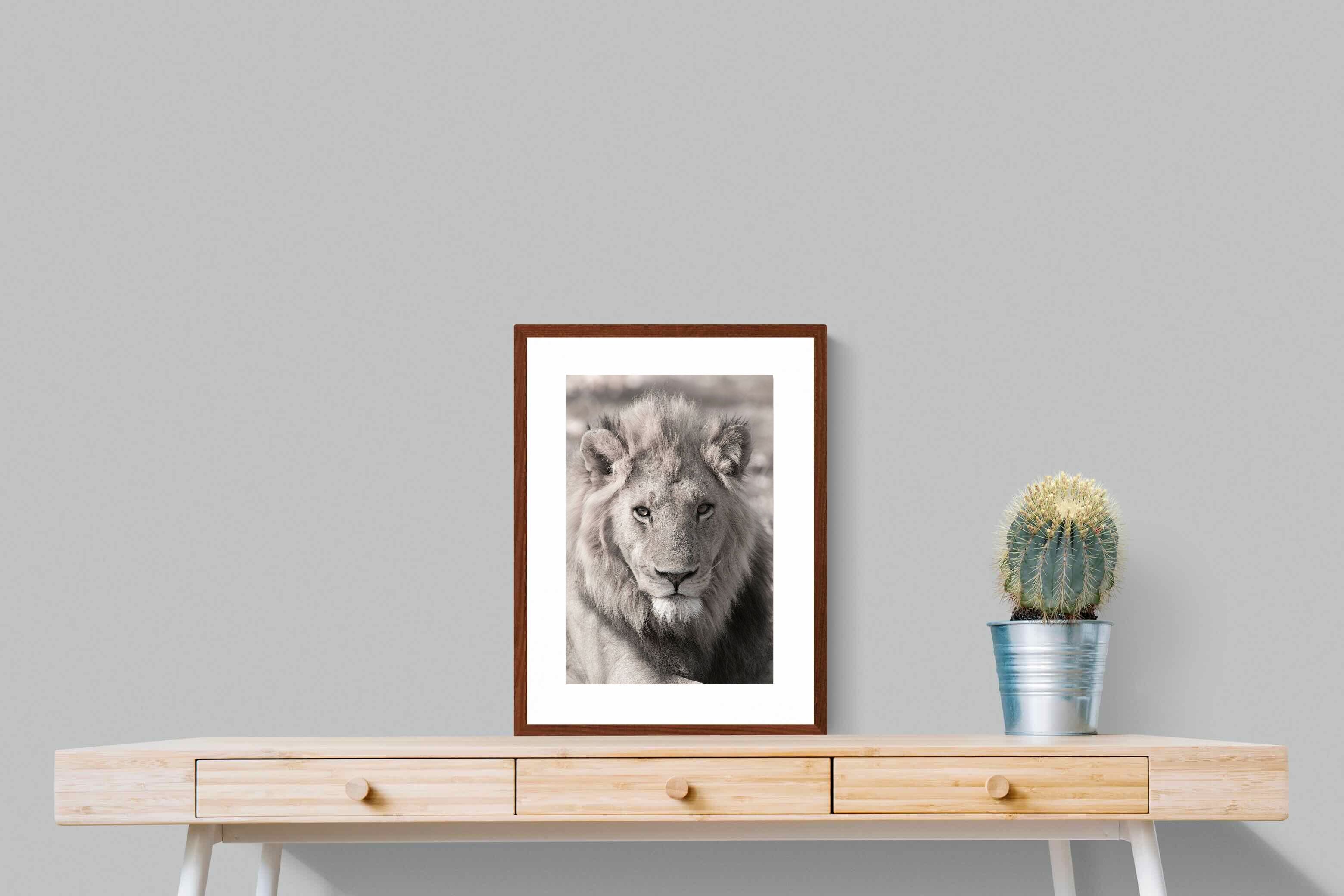 Pixalot Lion Eyes