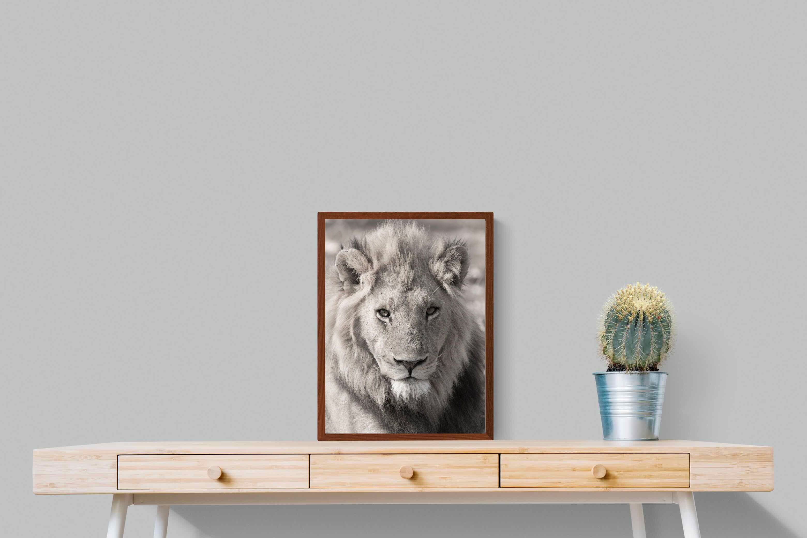 Pixalot Lion Eyes