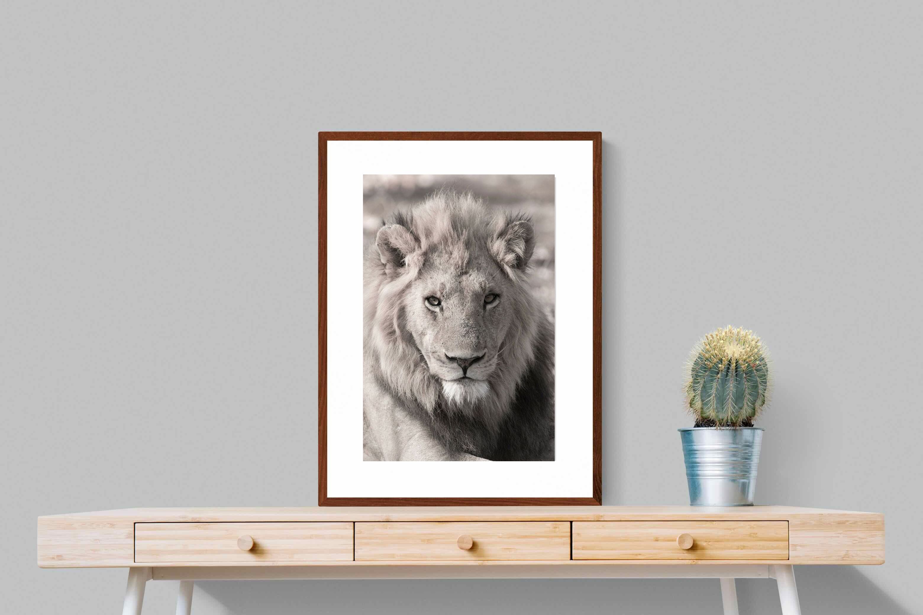Pixalot Lion Eyes