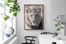 Pixalot Lion Eyes