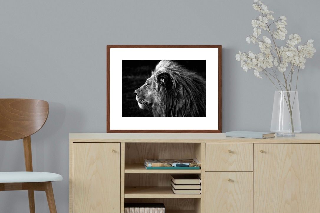 Pixalot ® Lion King