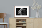 Pixalot ® Lion King