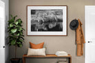 Pixalot ® Lion Lake Family