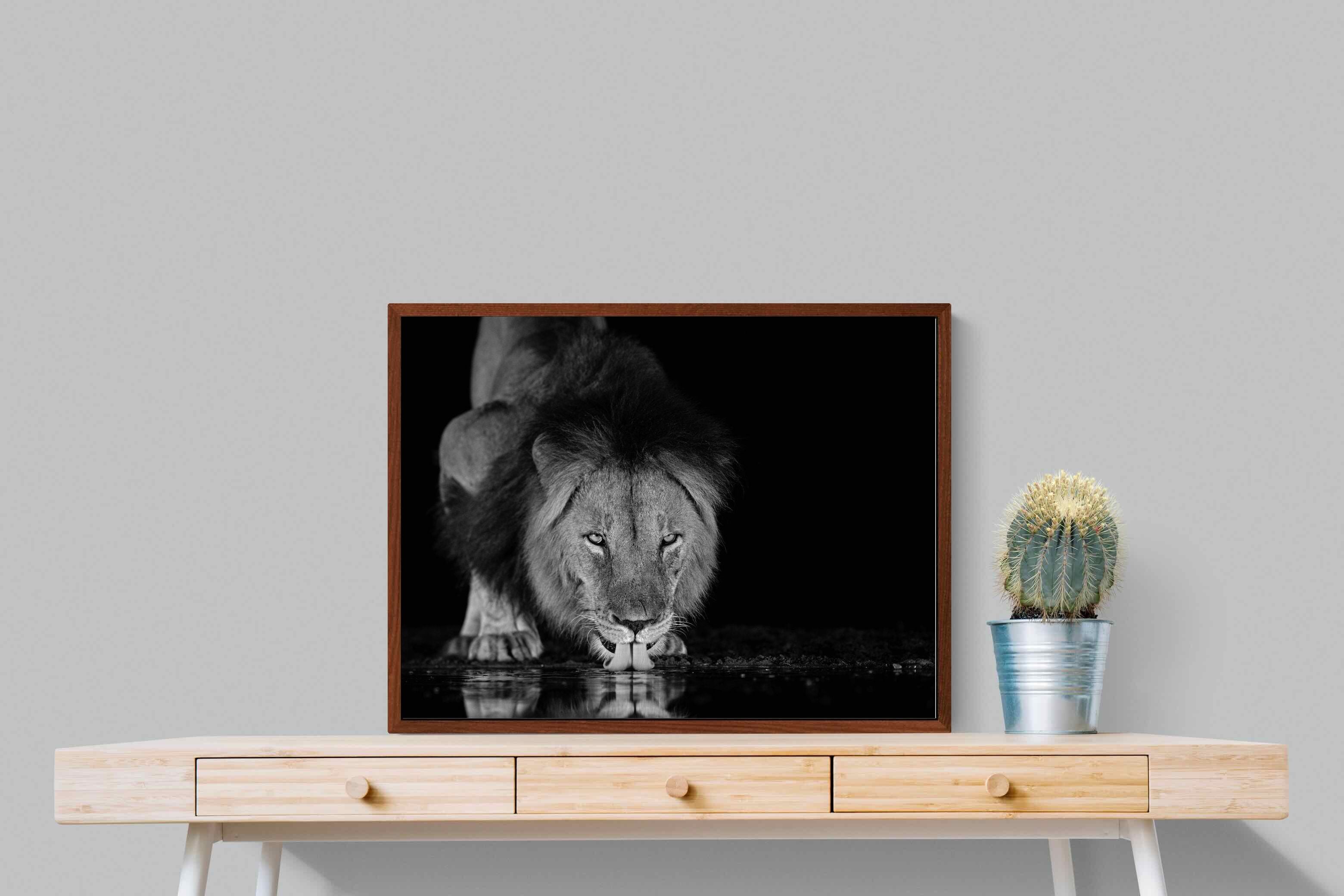 Pixalot ® Lion Lake