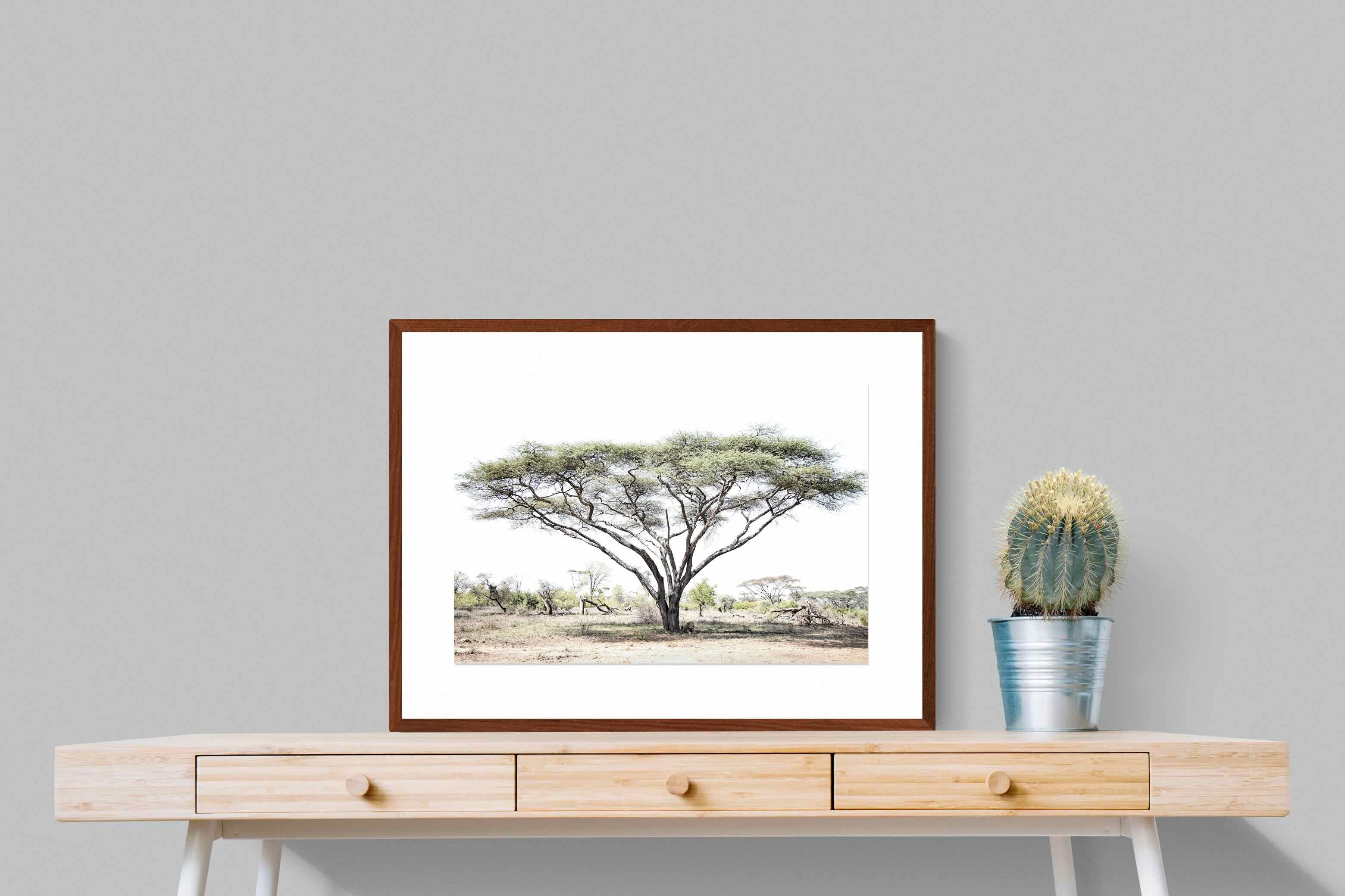 Pixalot Lion Under Umbrella Tree