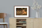 Pixalot ® Lioness & Cub
