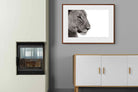 Pixalot ® Lioness Gaze