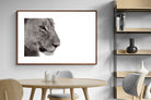 Pixalot ® Lioness Gaze