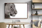 Pixalot ® Lioness Gaze