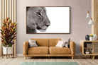 Pixalot ® Lioness Gaze