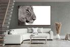 Pixalot ® Lioness Gaze