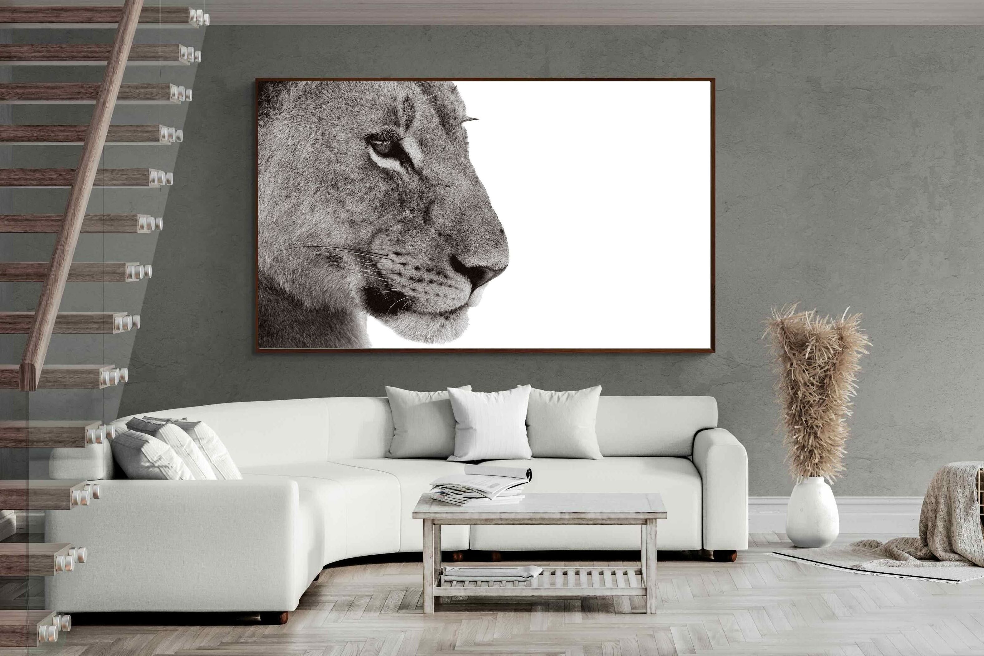 Pixalot ® Lioness Gaze