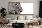 Pixalot ® Lioness Gaze