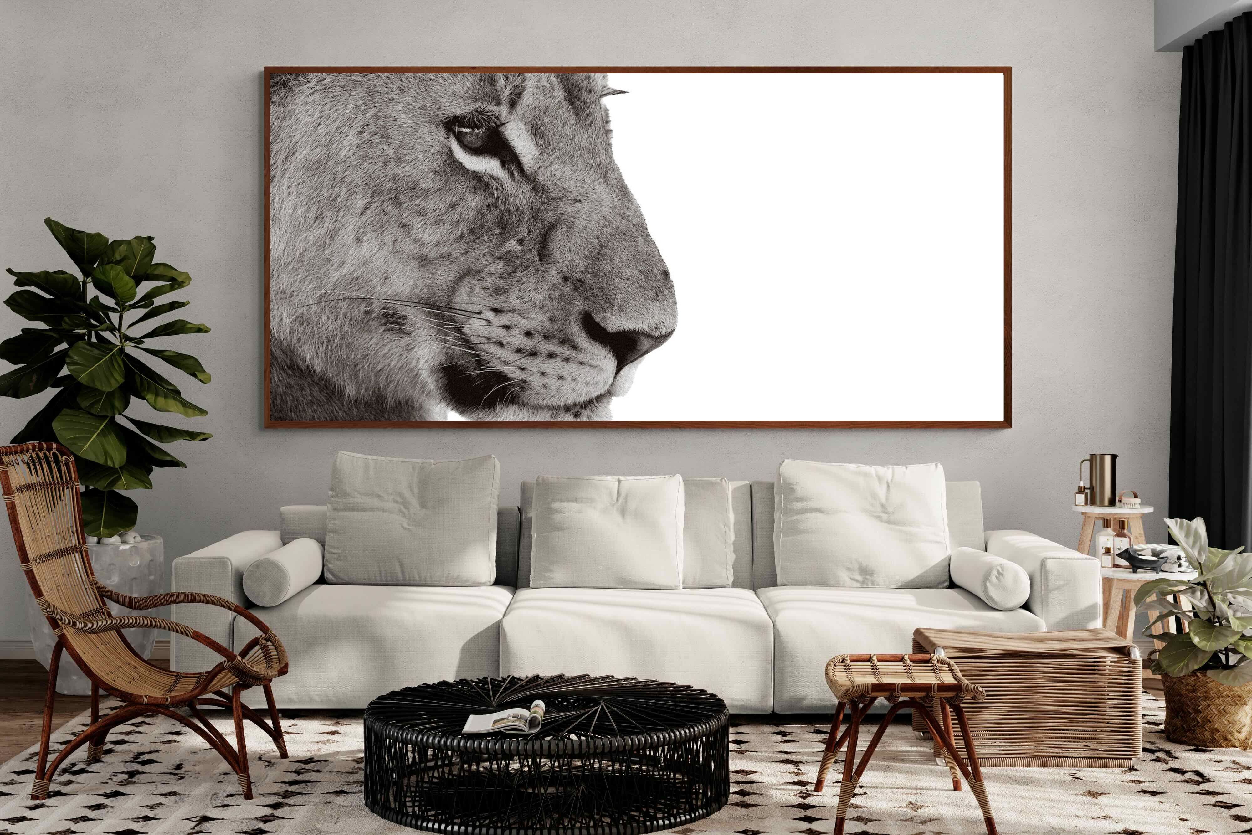 Pixalot ® Lioness Gaze