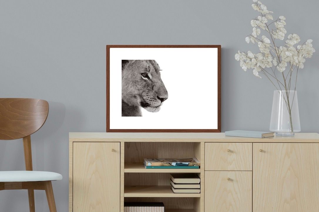 Pixalot ® Lioness Gaze