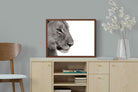 Pixalot ® Lioness Gaze