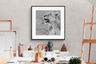 Pixalot Lioness Glance