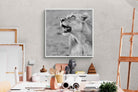 Pixalot Lioness Glance