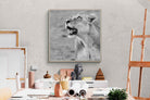 Pixalot Lioness Glance