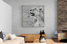 Pixalot Lioness Glance
