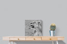 Pixalot Lioness Glance