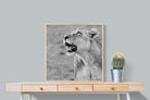 Pixalot Lioness Glance