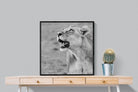 Pixalot Lioness Glance
