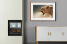 Pixalot ® Lioness Roar