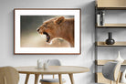Pixalot ® Lioness Roar