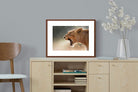 Pixalot ® Lioness Roar