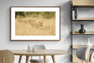 Pixalot ® Lionesses in Formation